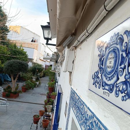 Tipico Y Pintoresco Patio De Vecinos, Con Encanto Sevilla Eksteriør bilde