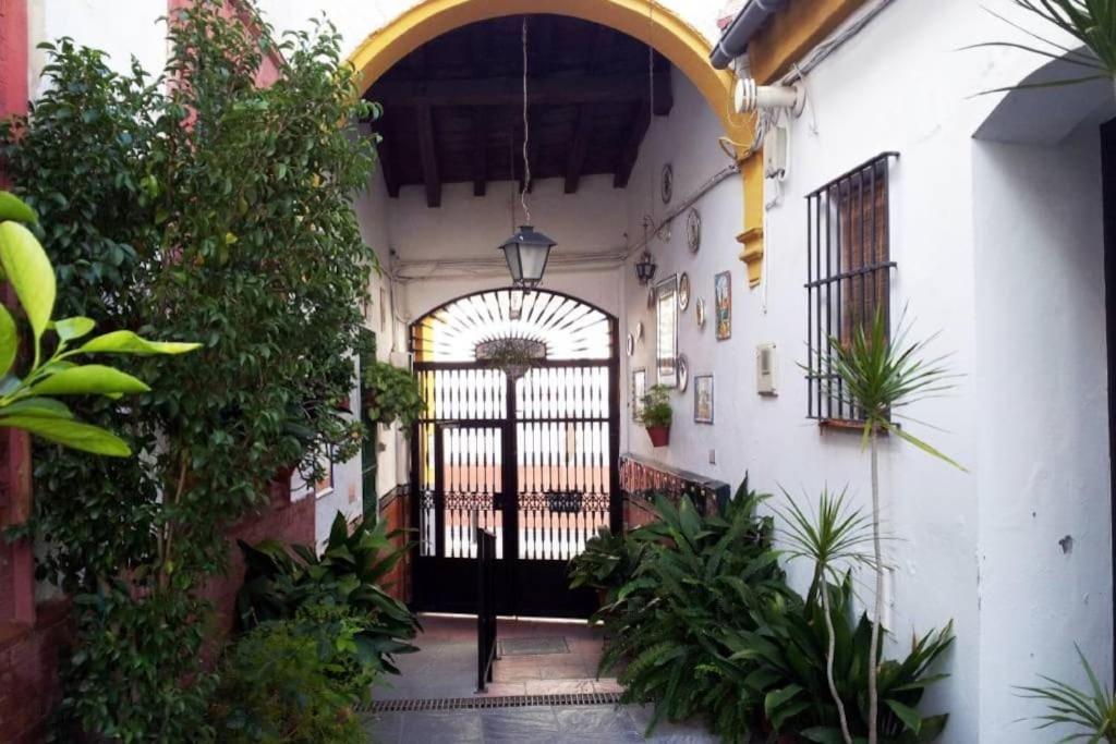 Tipico Y Pintoresco Patio De Vecinos, Con Encanto Sevilla Eksteriør bilde