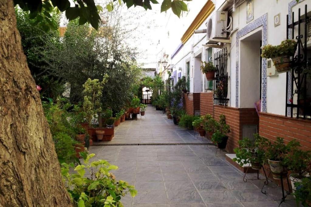 Tipico Y Pintoresco Patio De Vecinos, Con Encanto Sevilla Eksteriør bilde