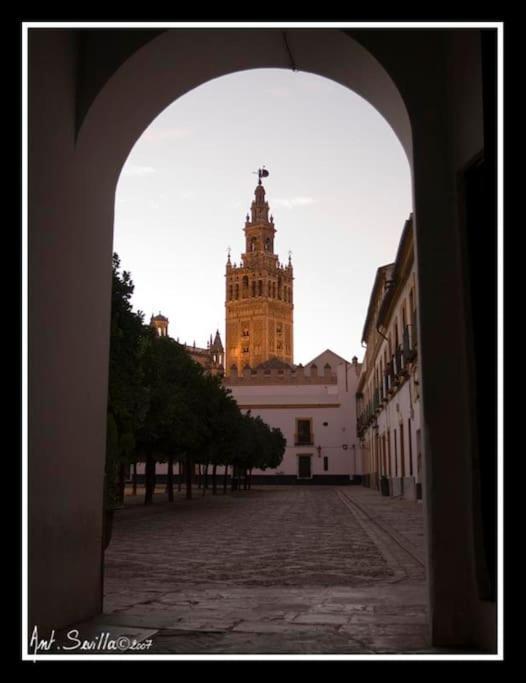 Tipico Y Pintoresco Patio De Vecinos, Con Encanto Sevilla Eksteriør bilde