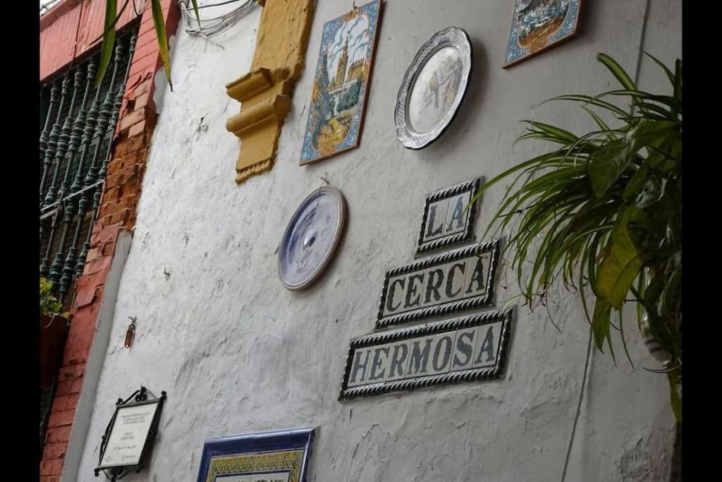 Tipico Y Pintoresco Patio De Vecinos, Con Encanto Sevilla Eksteriør bilde
