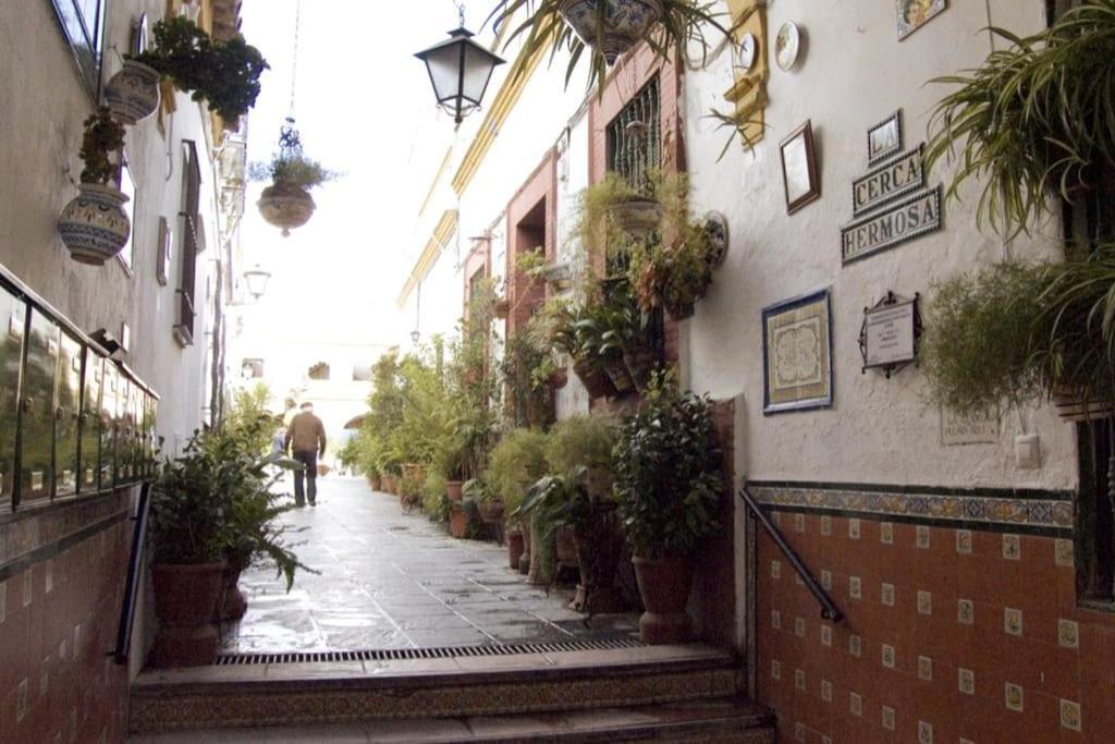Tipico Y Pintoresco Patio De Vecinos, Con Encanto Sevilla Eksteriør bilde