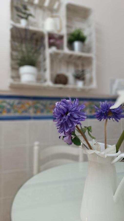 Tipico Y Pintoresco Patio De Vecinos, Con Encanto Sevilla Eksteriør bilde