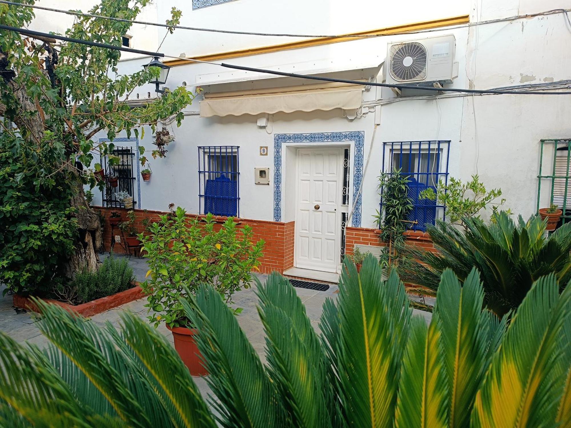 Tipico Y Pintoresco Patio De Vecinos, Con Encanto Sevilla Eksteriør bilde
