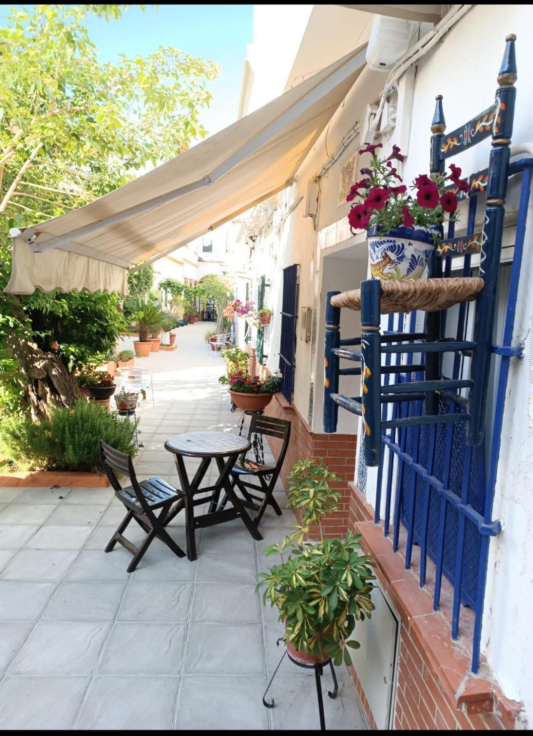 Tipico Y Pintoresco Patio De Vecinos, Con Encanto Sevilla Eksteriør bilde